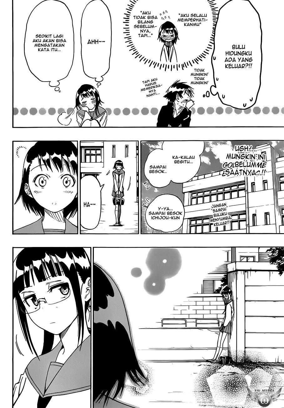 nisekoi - Chapter: 14