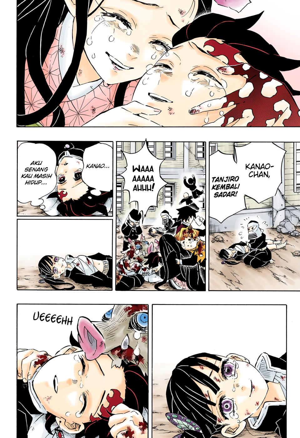 kimetsu-no-yaiba - Chapter: 203.5