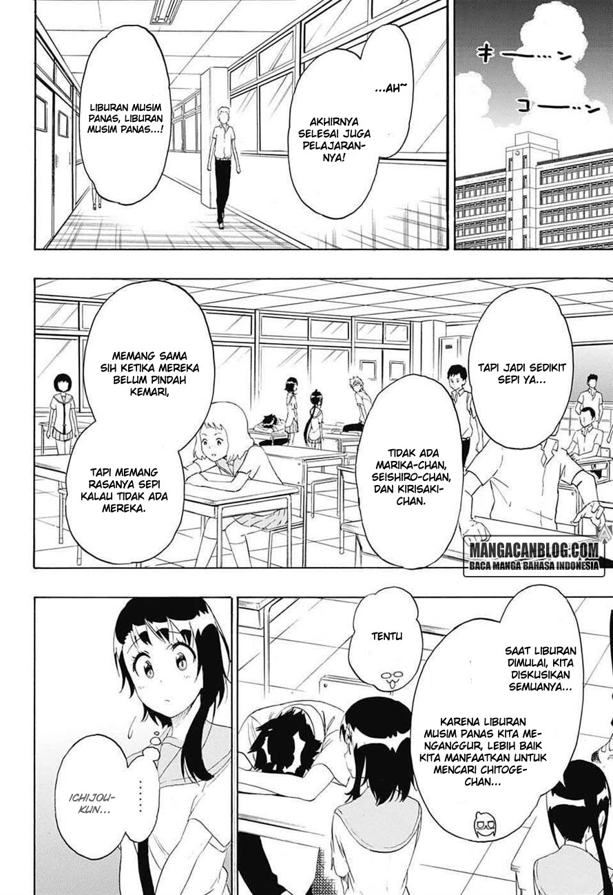 nisekoi - Chapter: 213