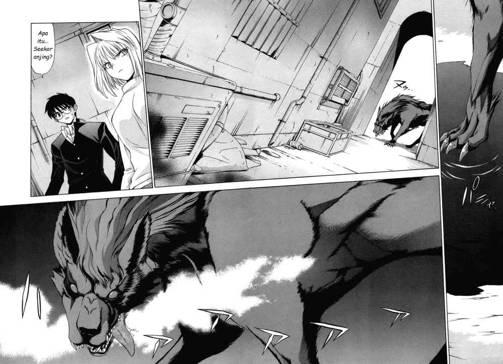 shingetsutan-tsukihime - Chapter: 3