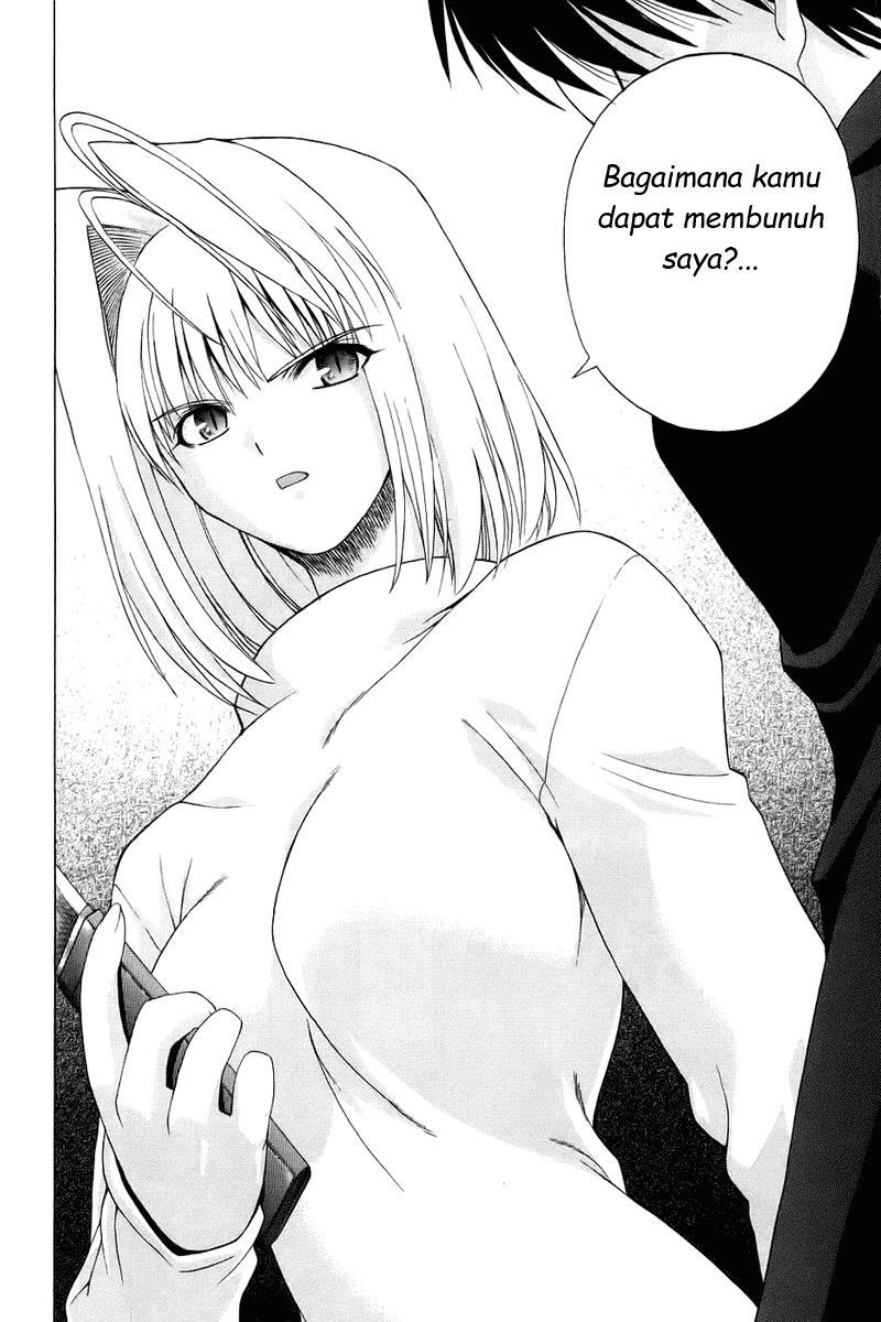 shingetsutan-tsukihime - Chapter: 4