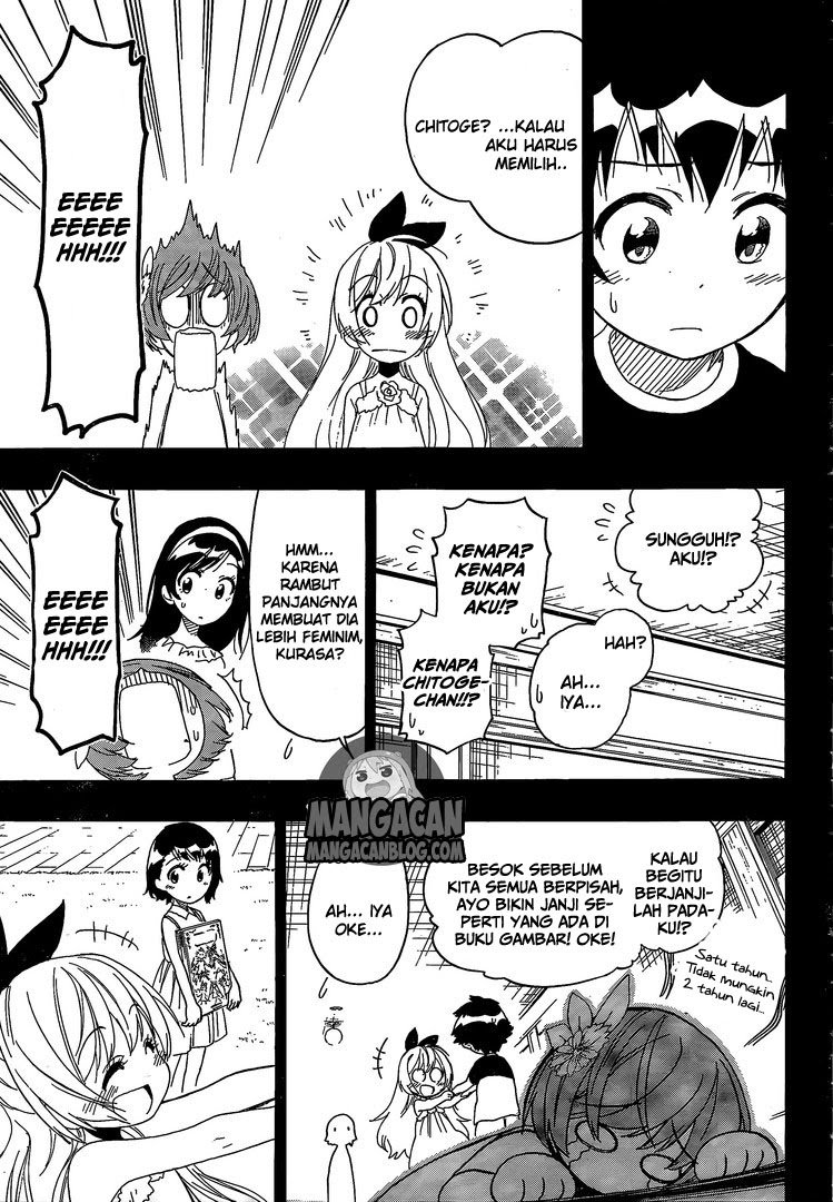 nisekoi - Chapter: 221