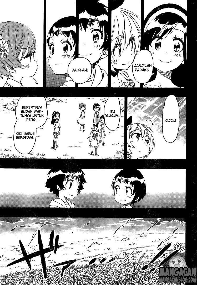 nisekoi - Chapter: 221