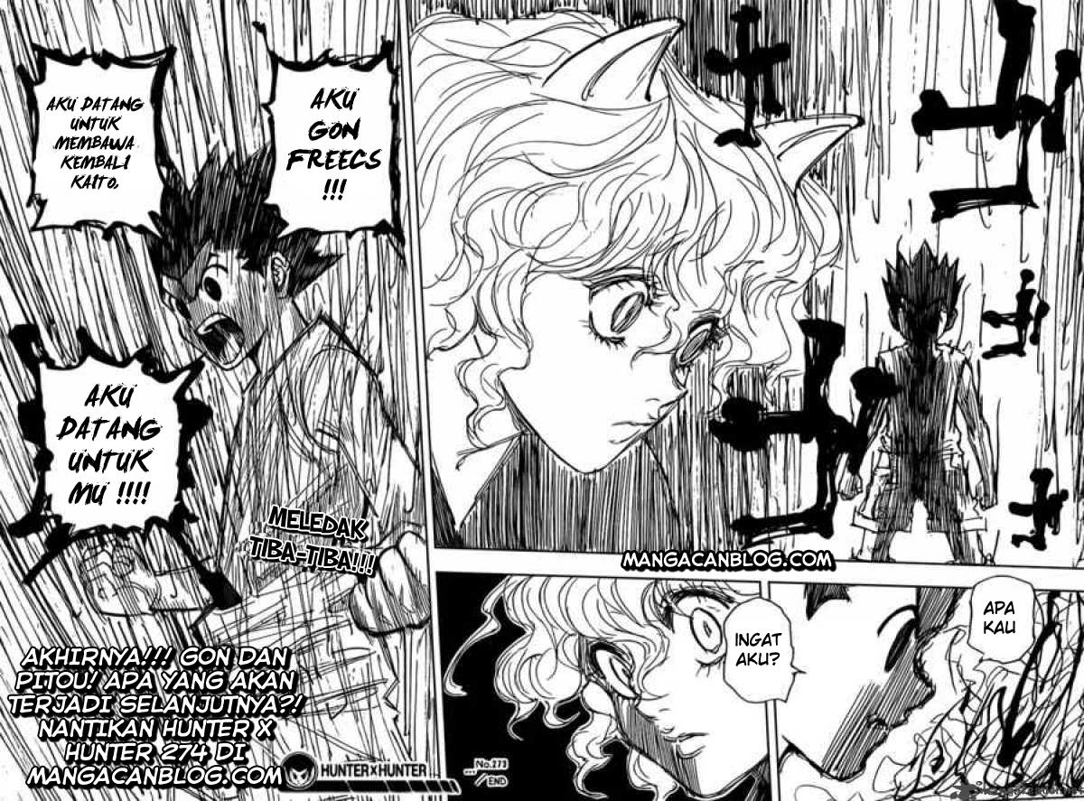 hunter-x-hunter - Chapter: 273