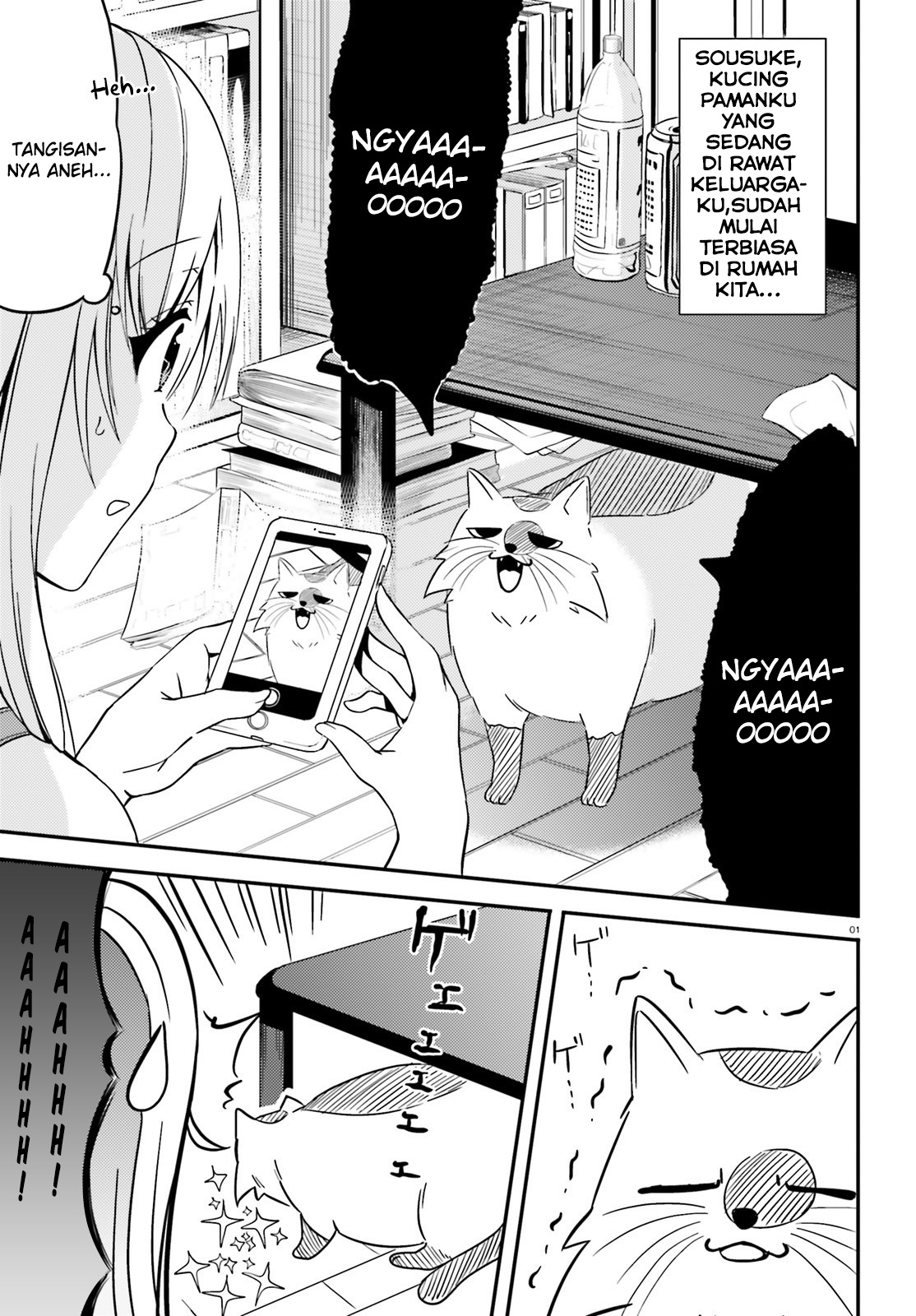 neeko-wa-tsurai-yo - Chapter: 17