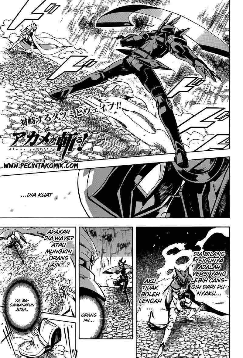 akame-ga-kill - Chapter: 19