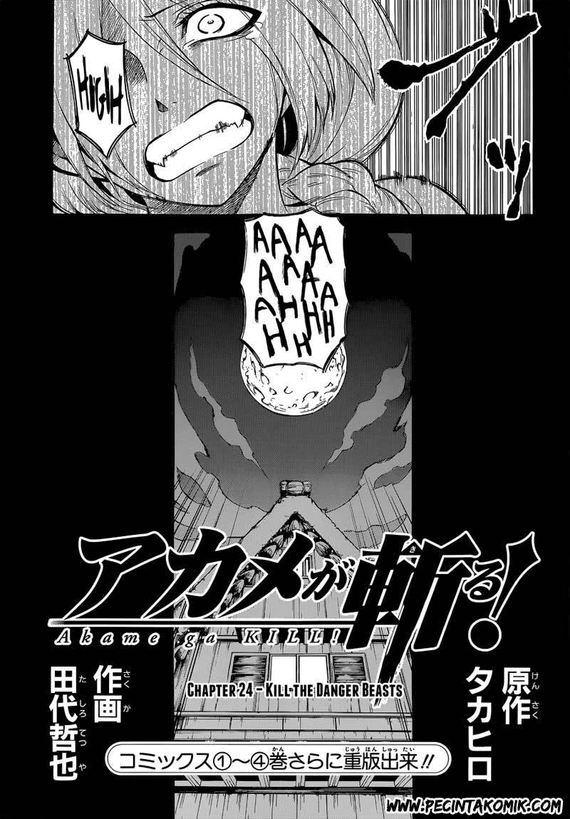 akame-ga-kill - Chapter: 24