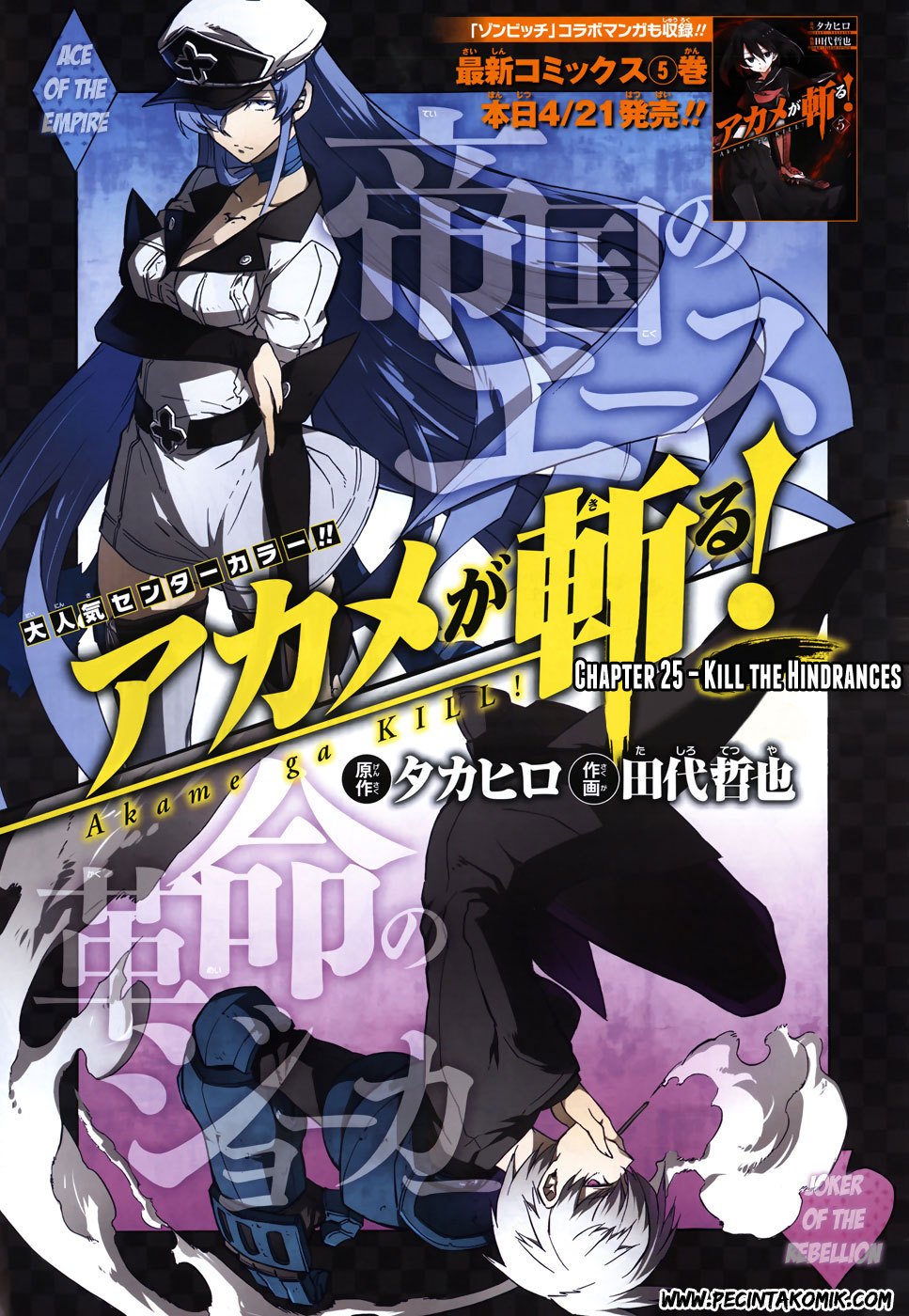 akame-ga-kill - Chapter: 25