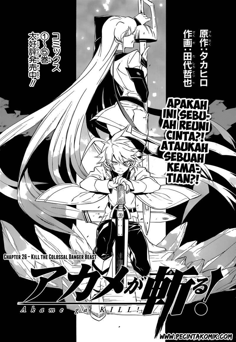 akame-ga-kill - Chapter: 26