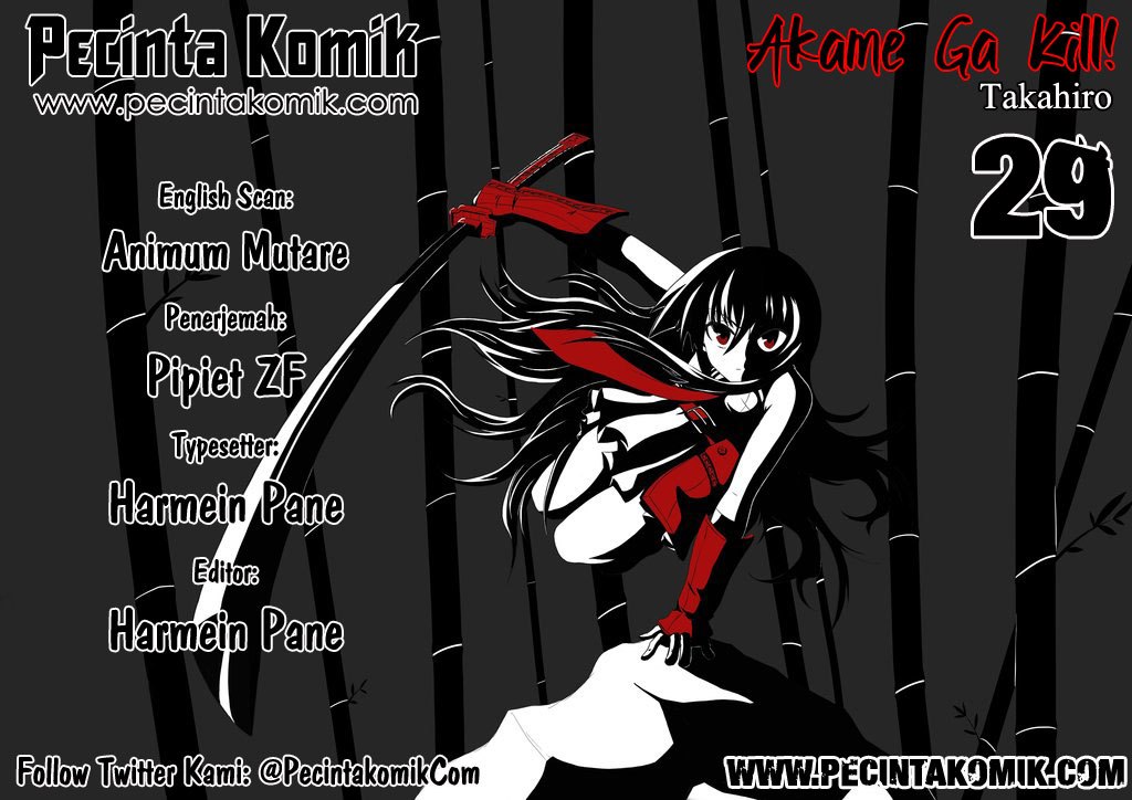 akame-ga-kill - Chapter: 29