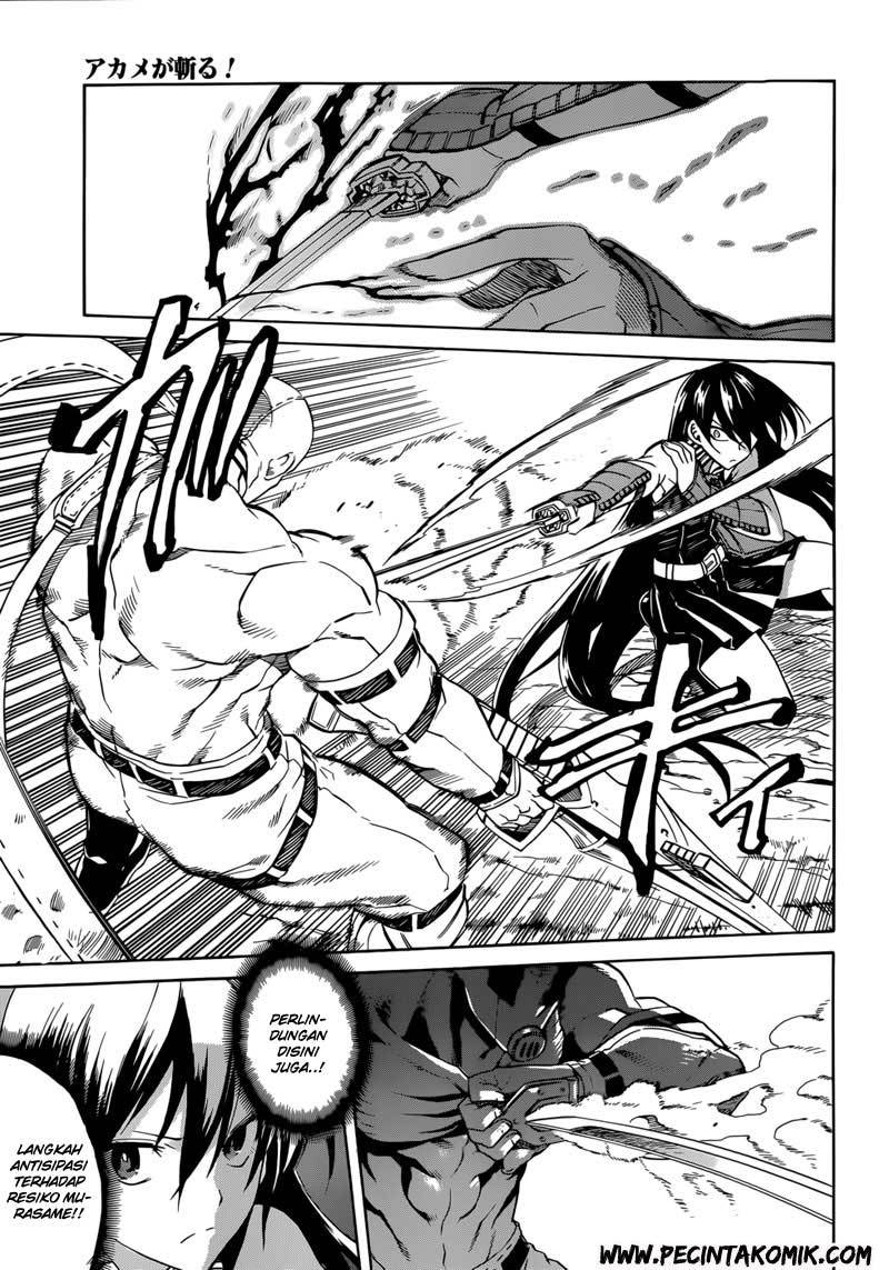 akame-ga-kill - Chapter: 31