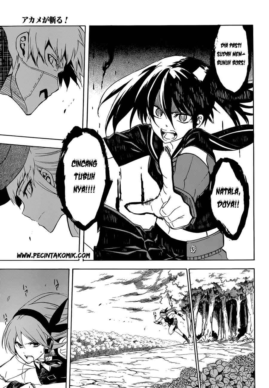 akame-ga-kill - Chapter: 34