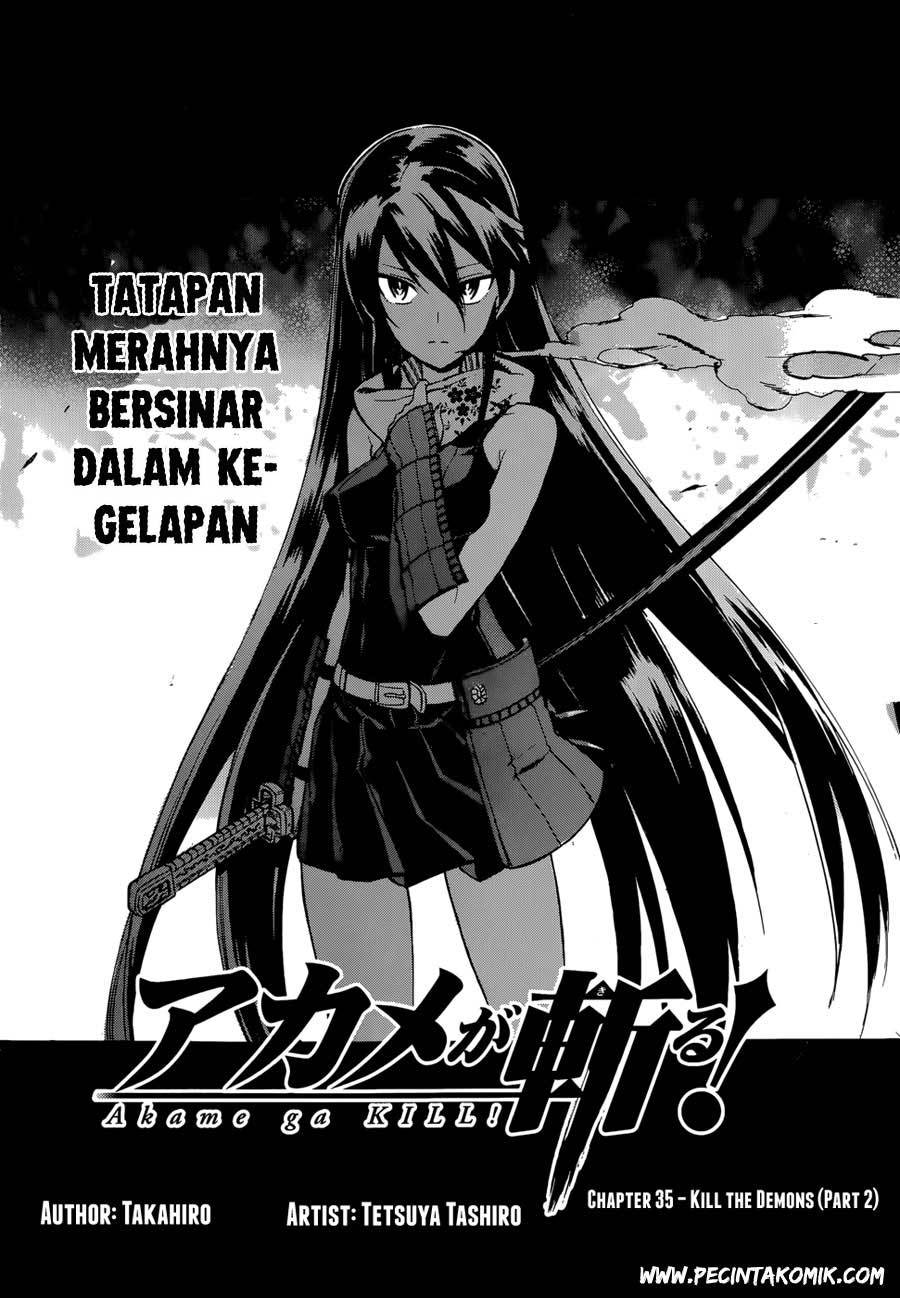 akame-ga-kill - Chapter: 36