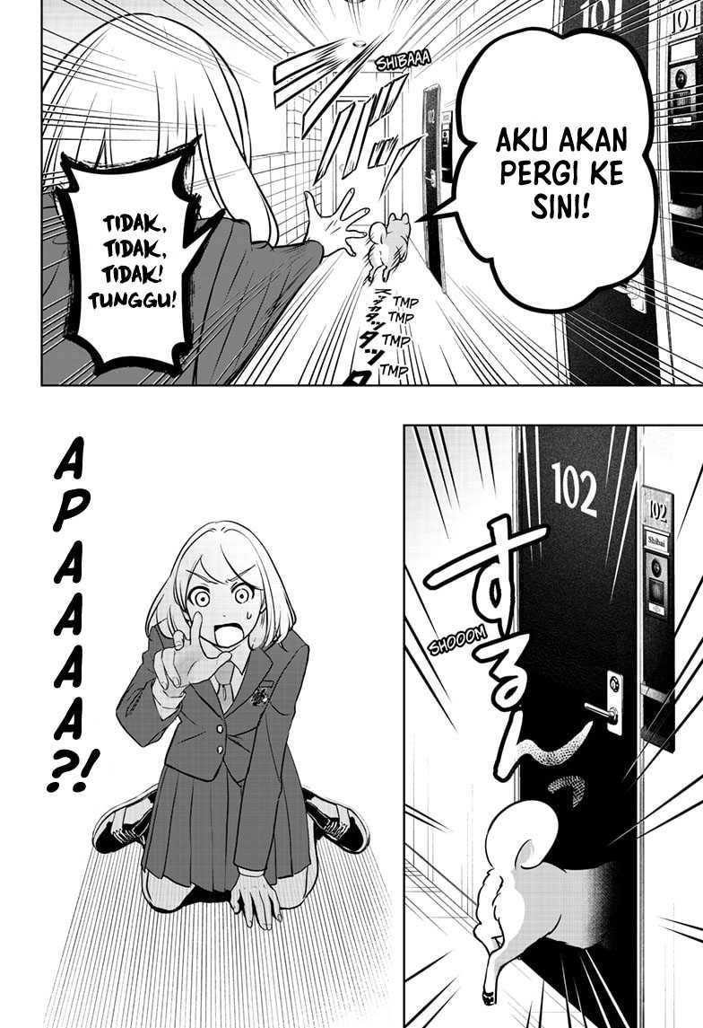 shiba-tsuki-bukken - Chapter: 10