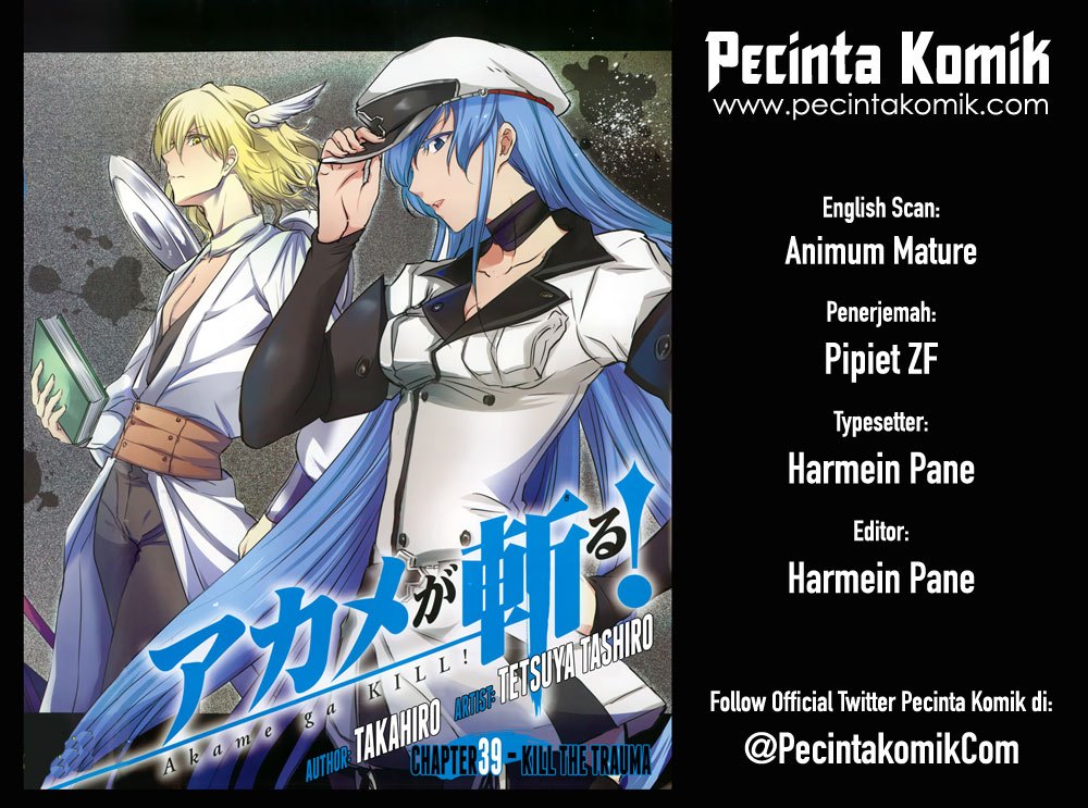 akame-ga-kill - Chapter: 41