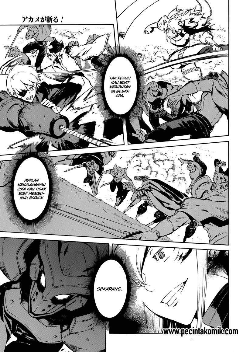 akame-ga-kill - Chapter: 41