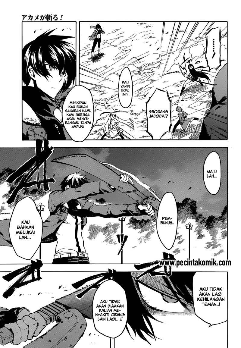 akame-ga-kill - Chapter: 42