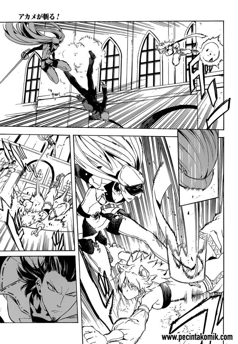 akame-ga-kill - Chapter: 42