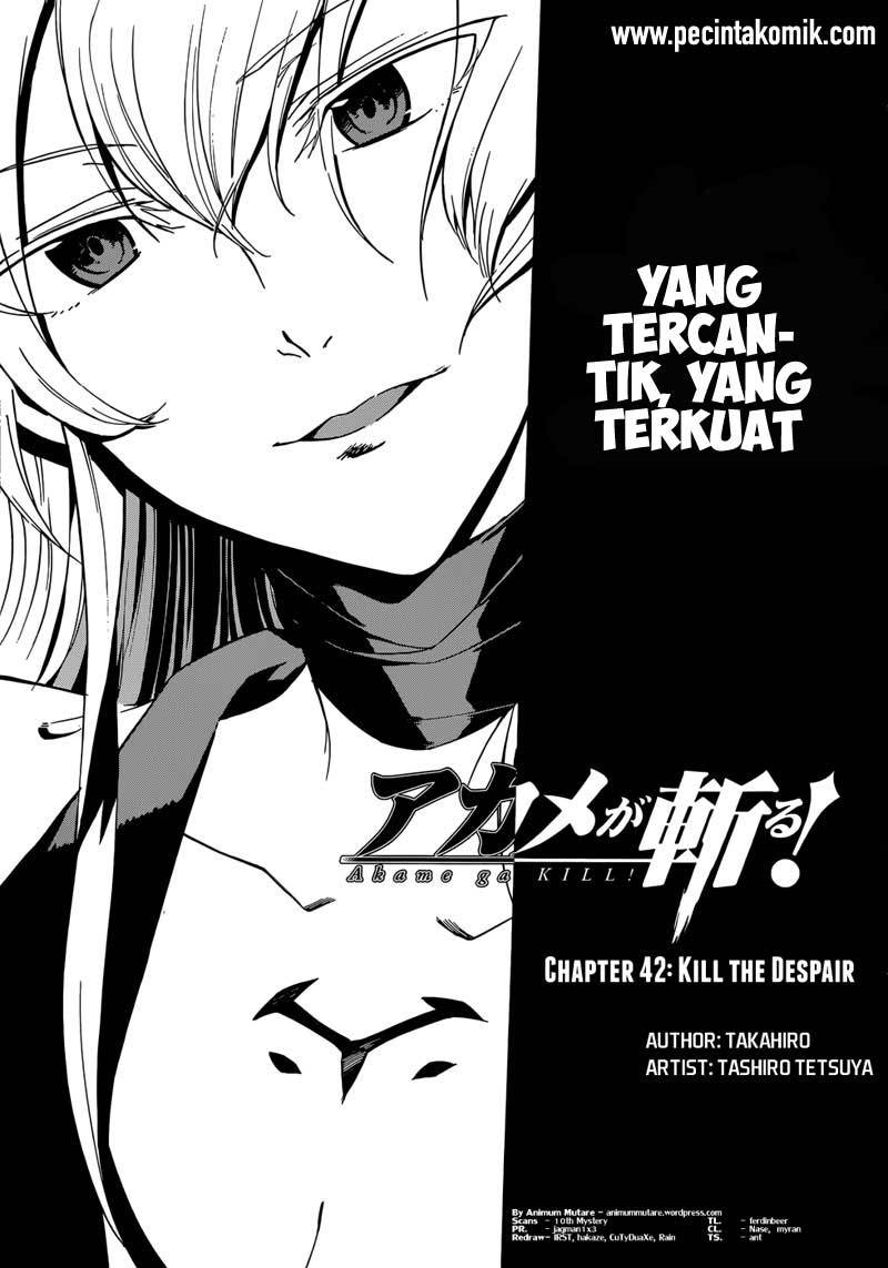 akame-ga-kill - Chapter: 43