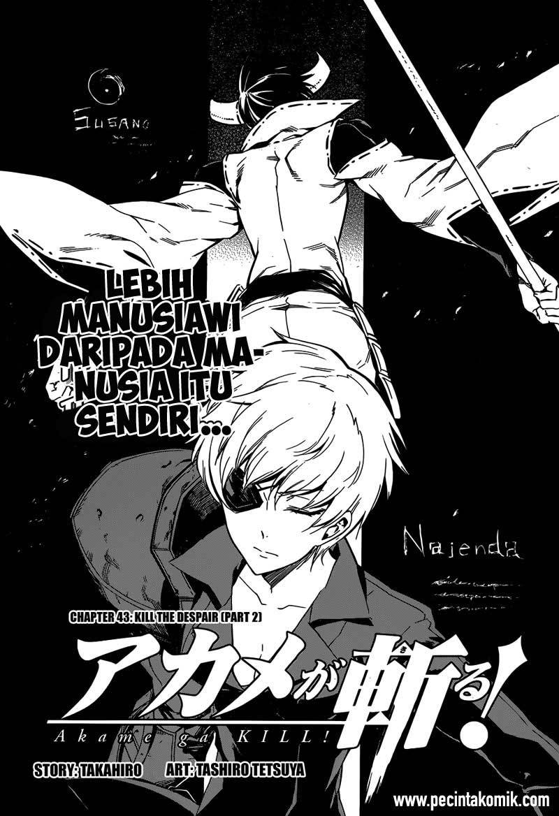 akame-ga-kill - Chapter: 44