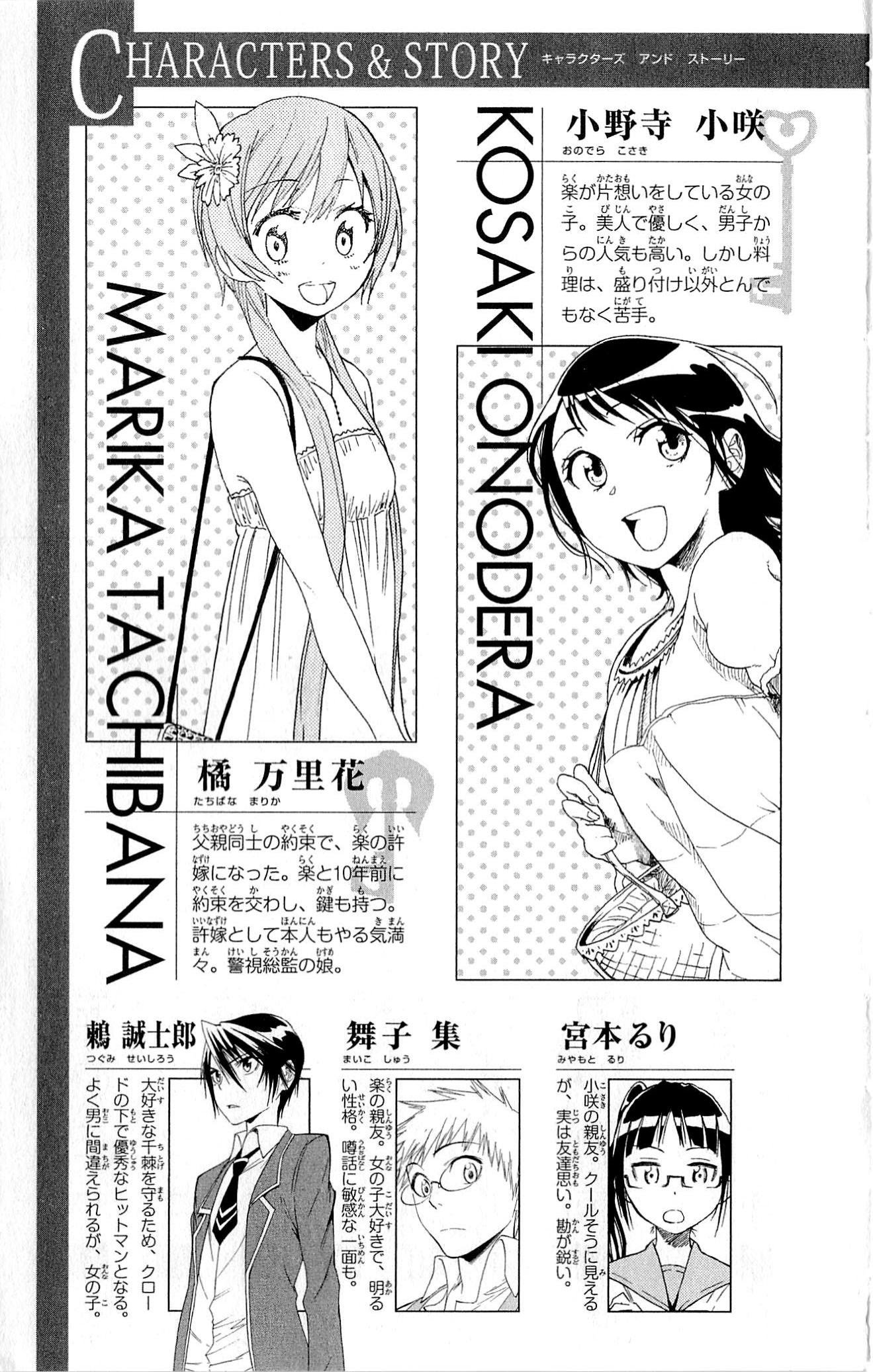 nisekoi - Chapter: 45