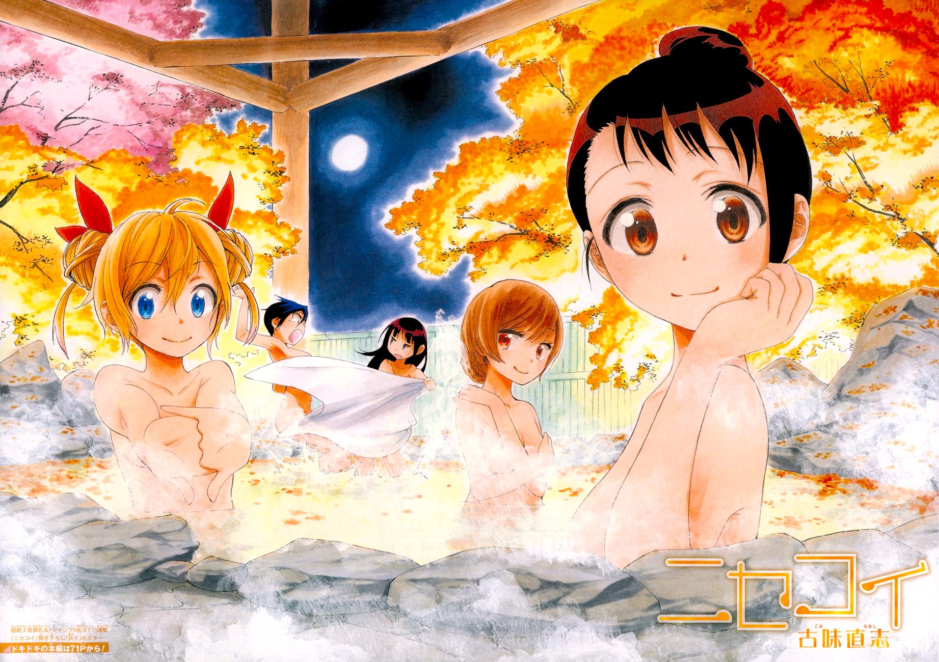 nisekoi - Chapter: 45