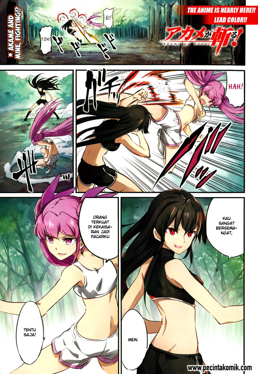 akame-ga-kill - Chapter: 51