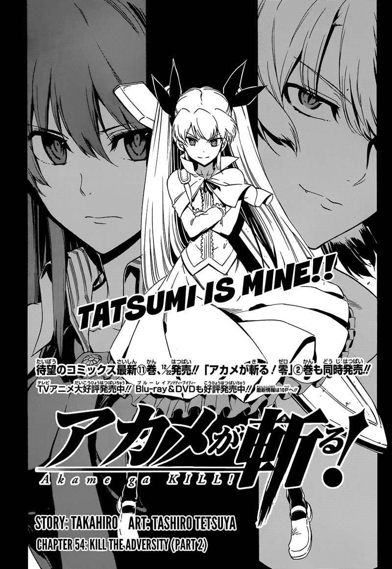 akame-ga-kill - Chapter: 54