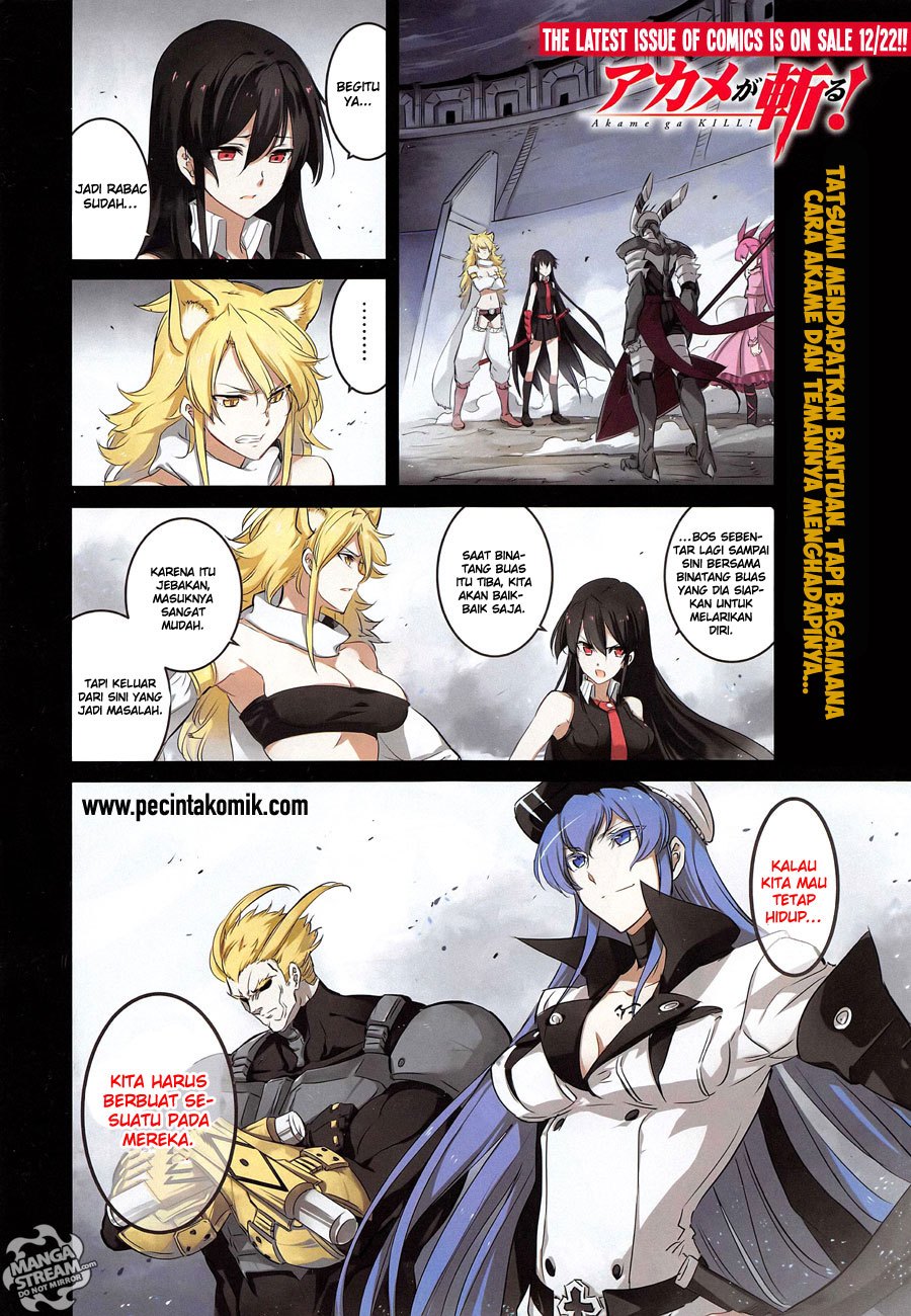 akame-ga-kill - Chapter: 55