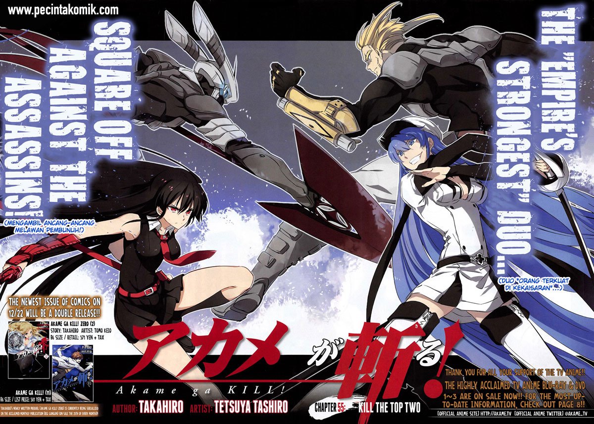 akame-ga-kill - Chapter: 55