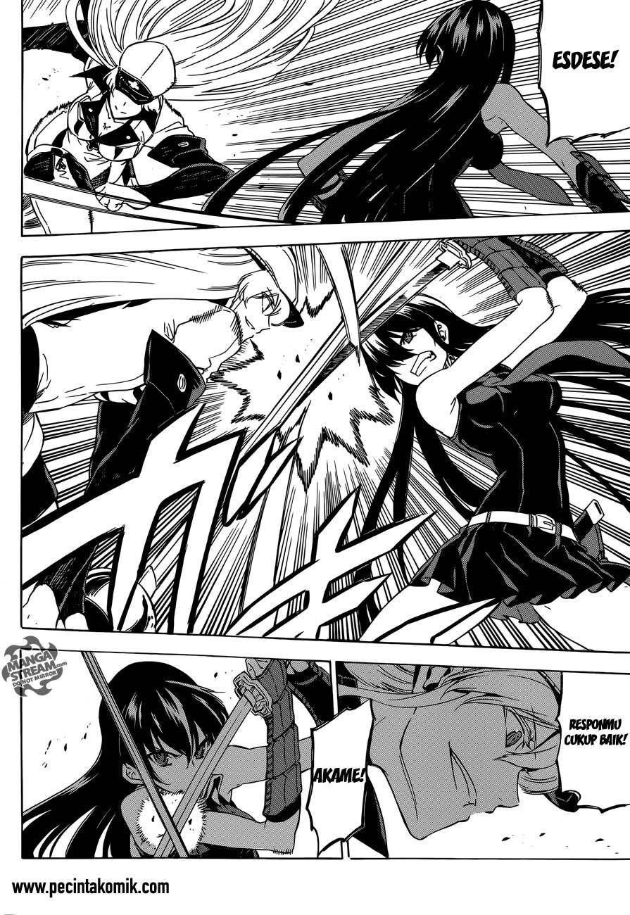 akame-ga-kill - Chapter: 55