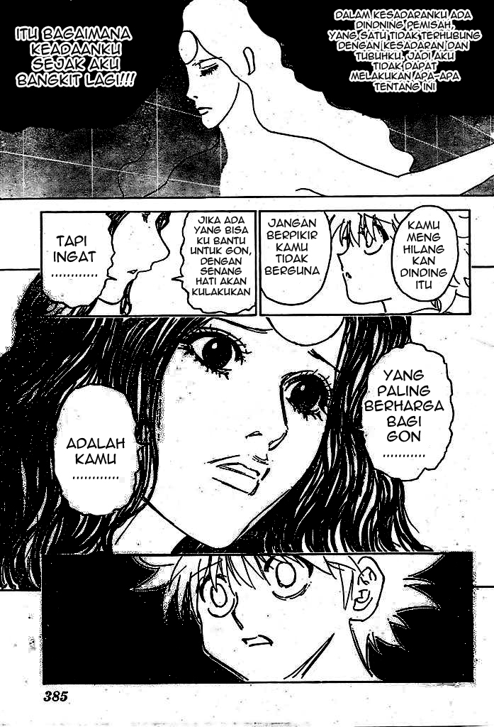 hunter-x-hunter - Chapter: 294
