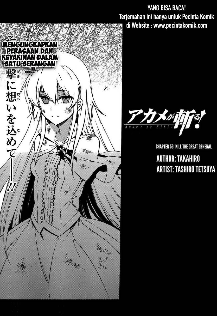 akame-ga-kill - Chapter: 56