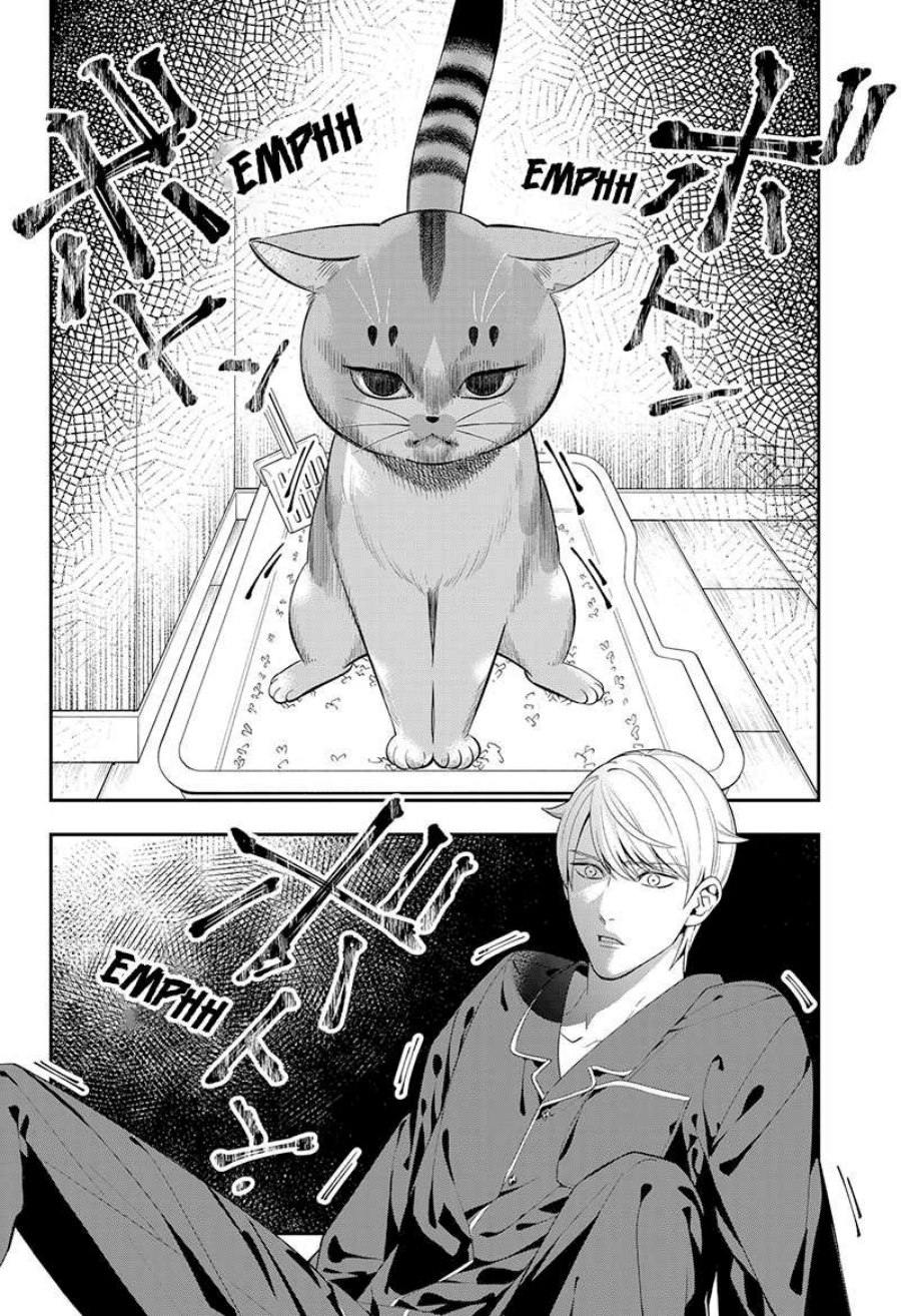 miyaou-tarou-ga-neko-wo-kau-nante - Chapter: 1