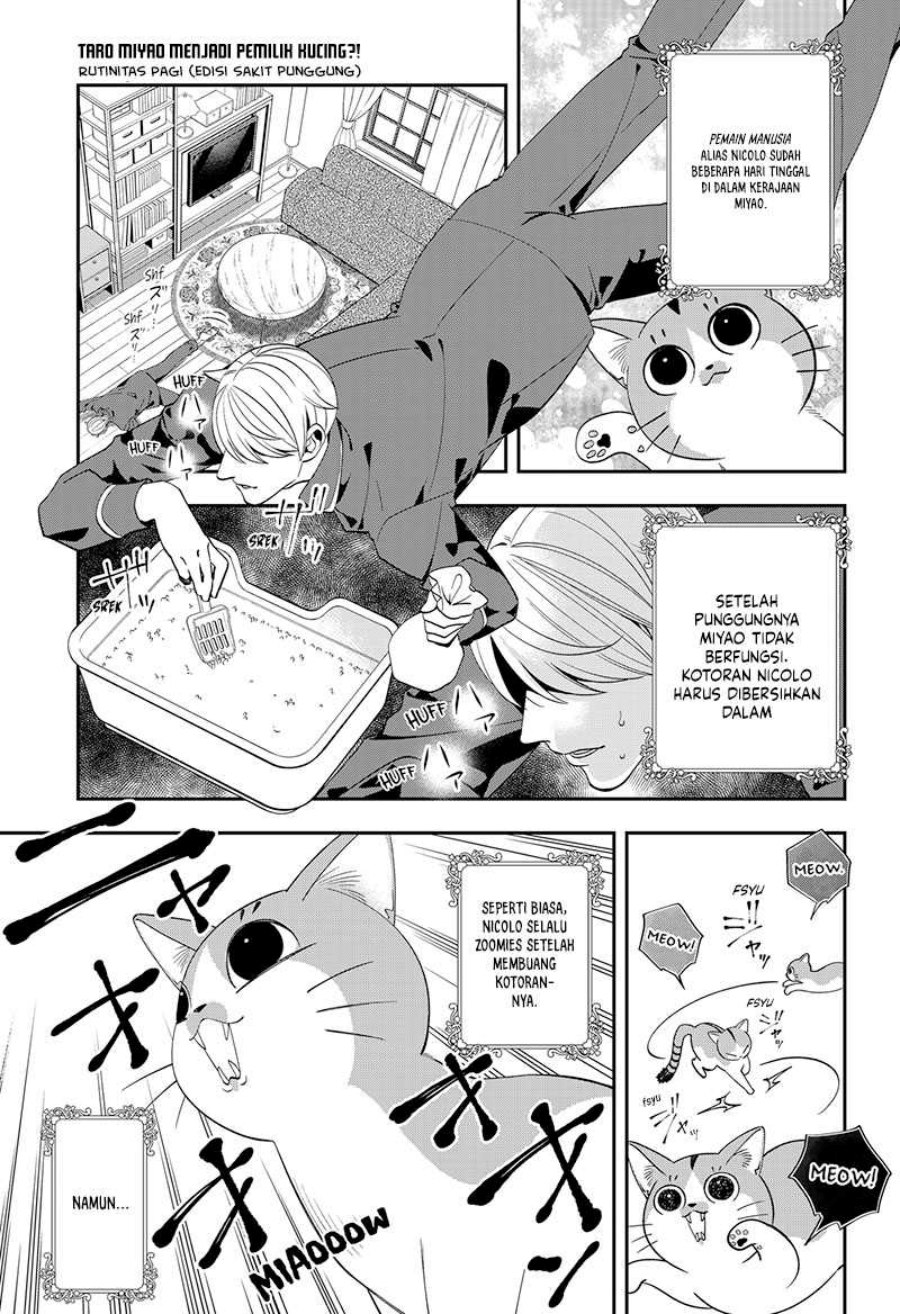 miyaou-tarou-ga-neko-wo-kau-nante - Chapter: 2