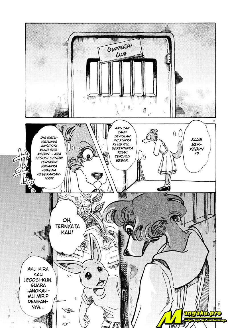 beastars - Chapter: 79