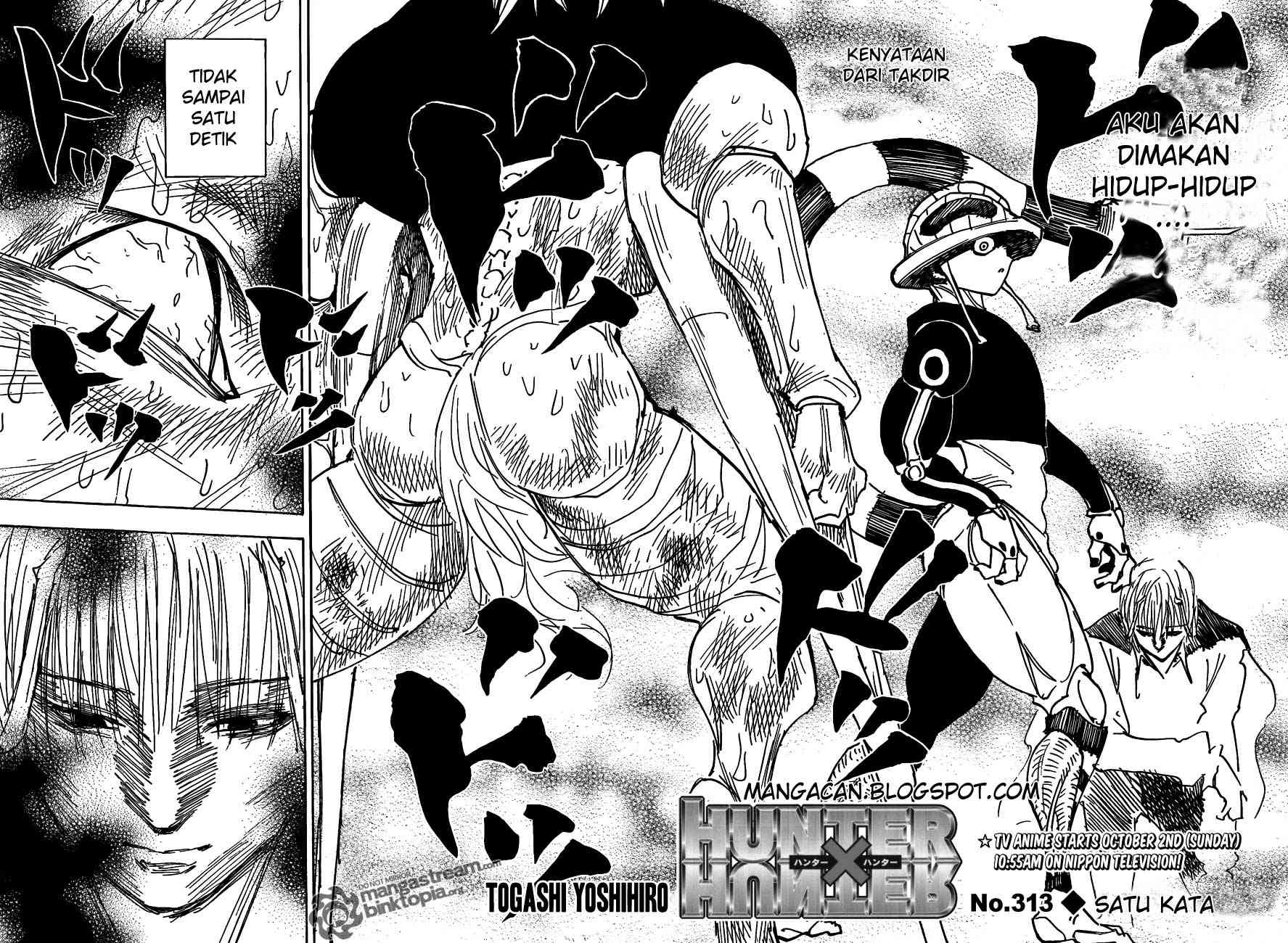 hunter-x-hunter - Chapter: 313
