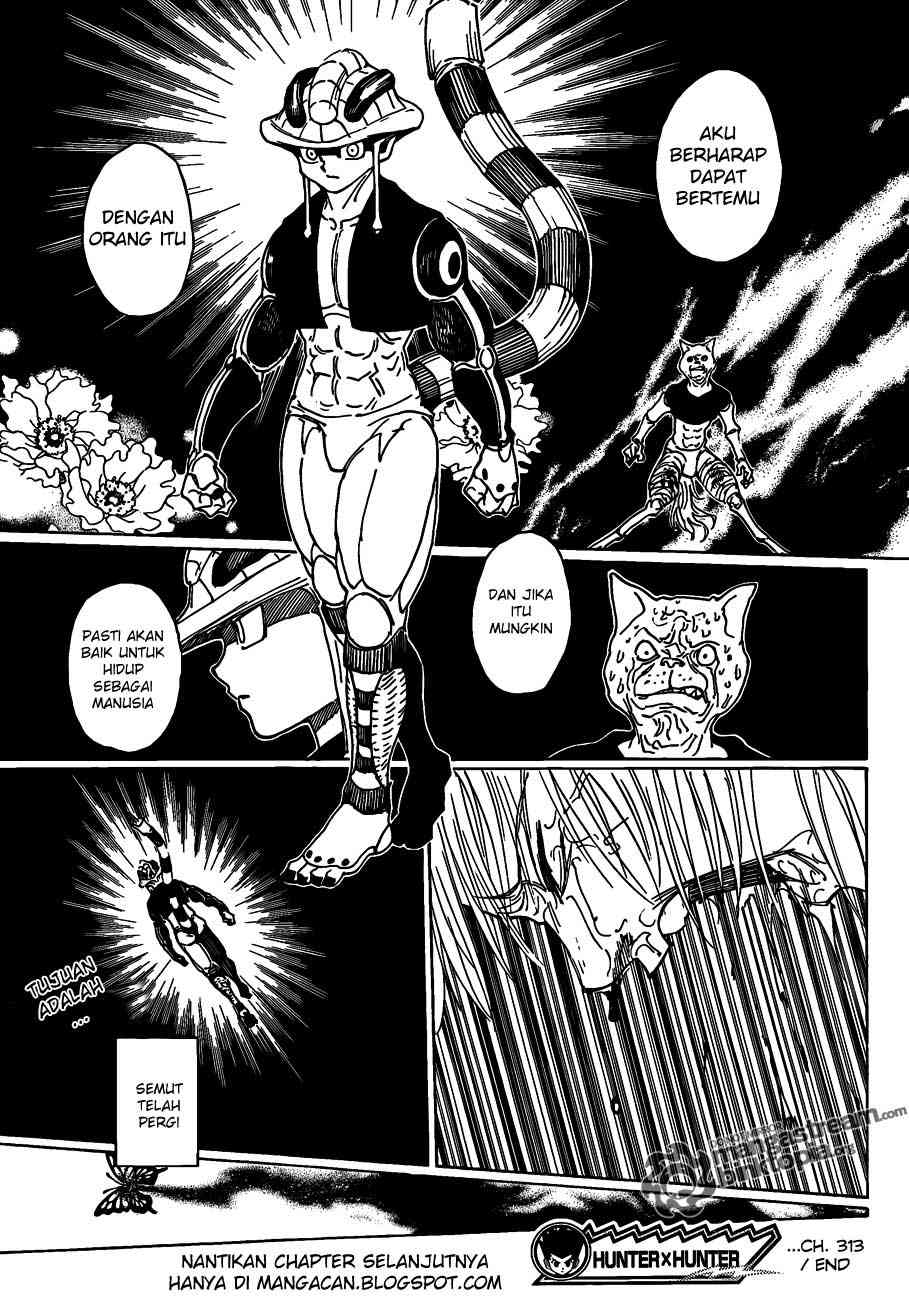 hunter-x-hunter - Chapter: 313