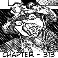 hunter-x-hunter - Chapter: 313