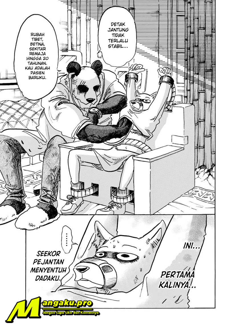 beastars - Chapter: 86