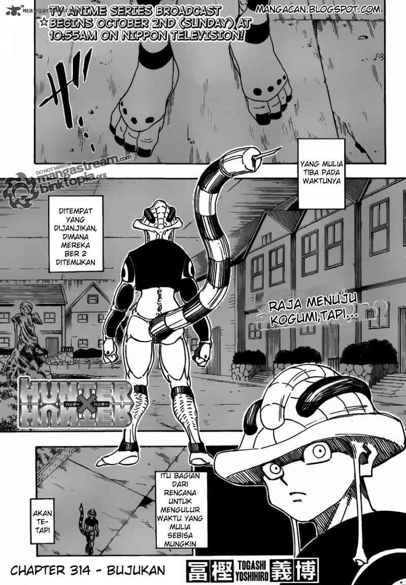 hunter-x-hunter - Chapter: 314
