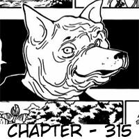 hunter-x-hunter - Chapter: 315
