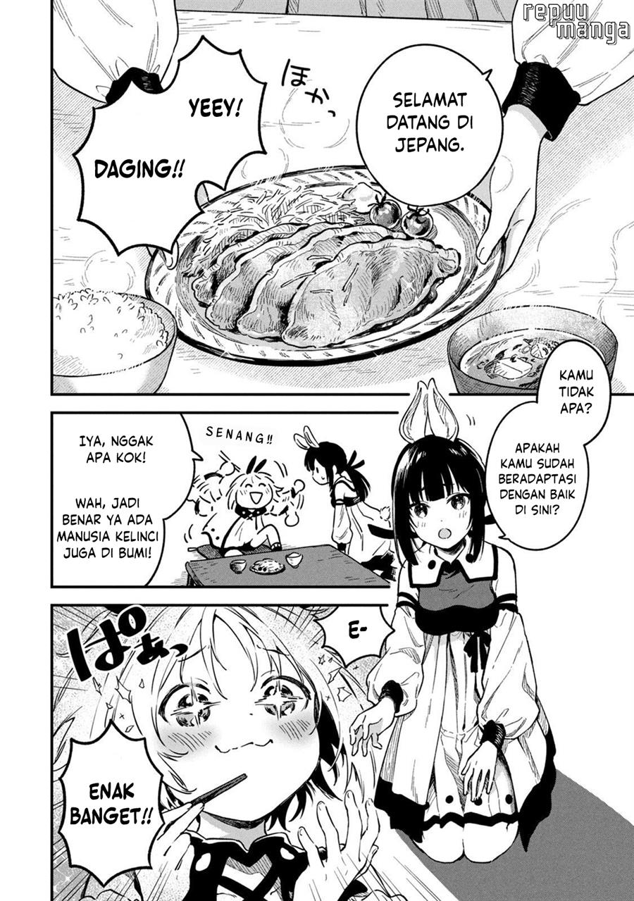 bunnies-quest - Chapter: 1