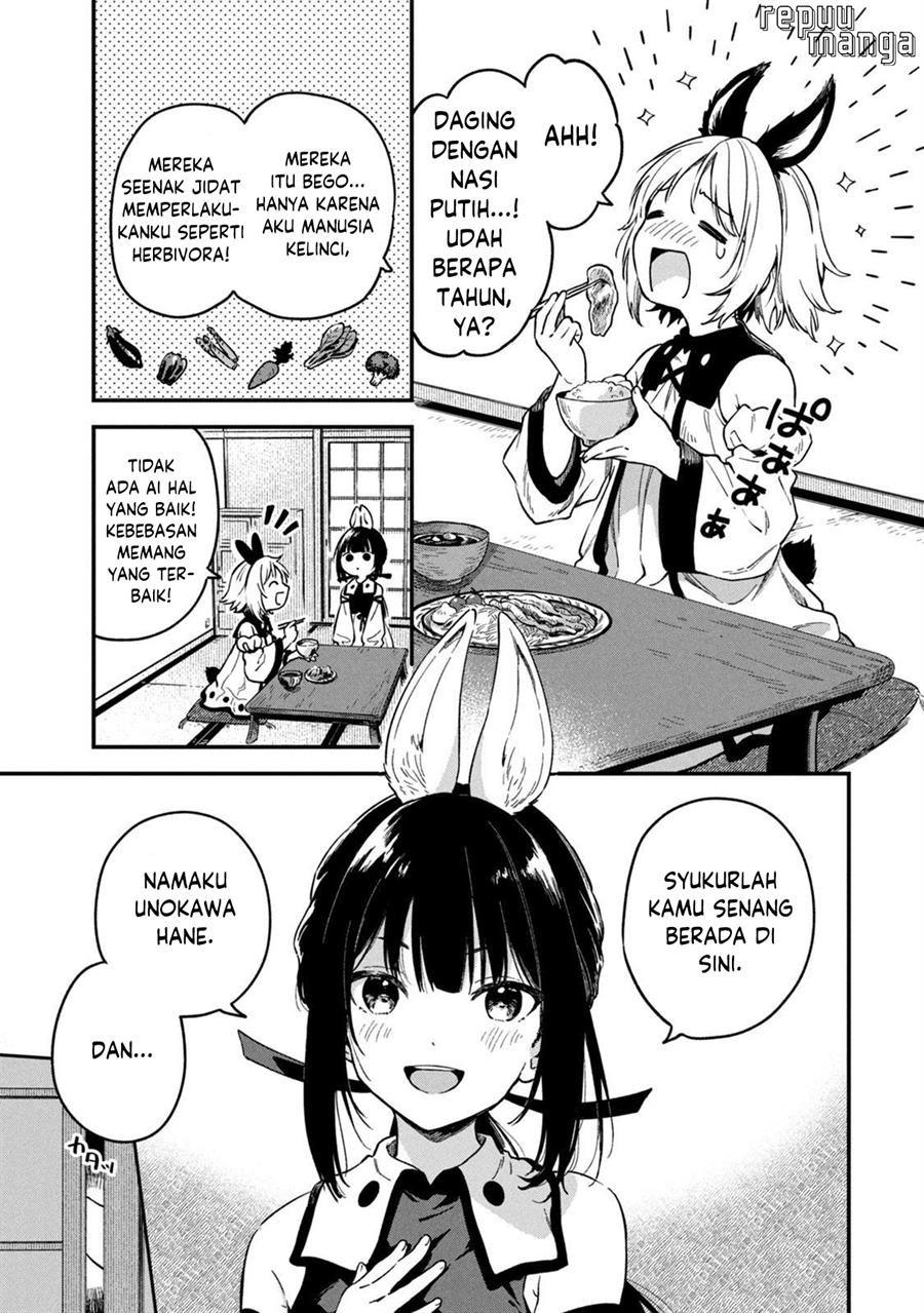 bunnies-quest - Chapter: 1