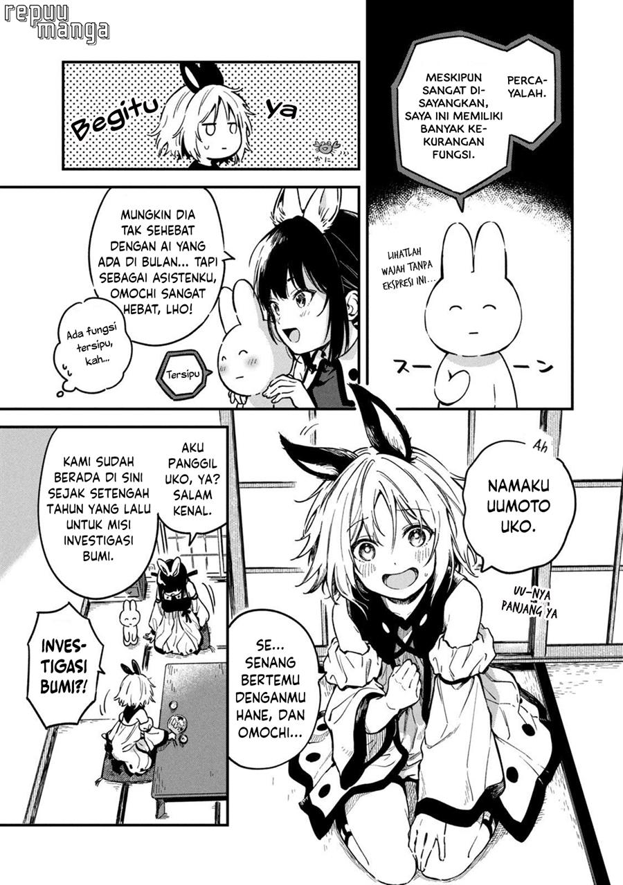 bunnies-quest - Chapter: 1