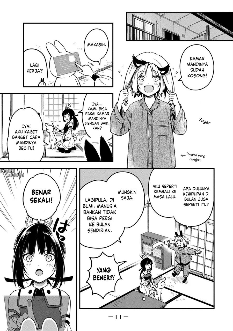 bunnies-quest - Chapter: 1