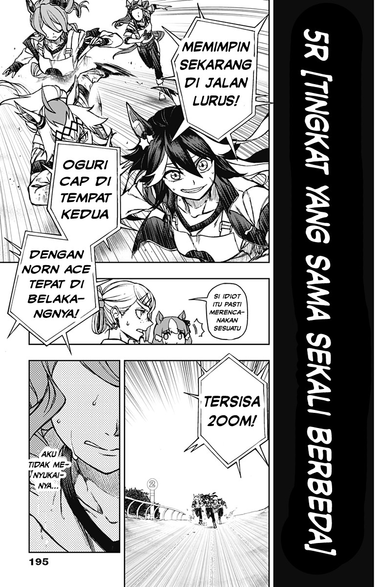uma-musume-cinderella-gray - Chapter: 5