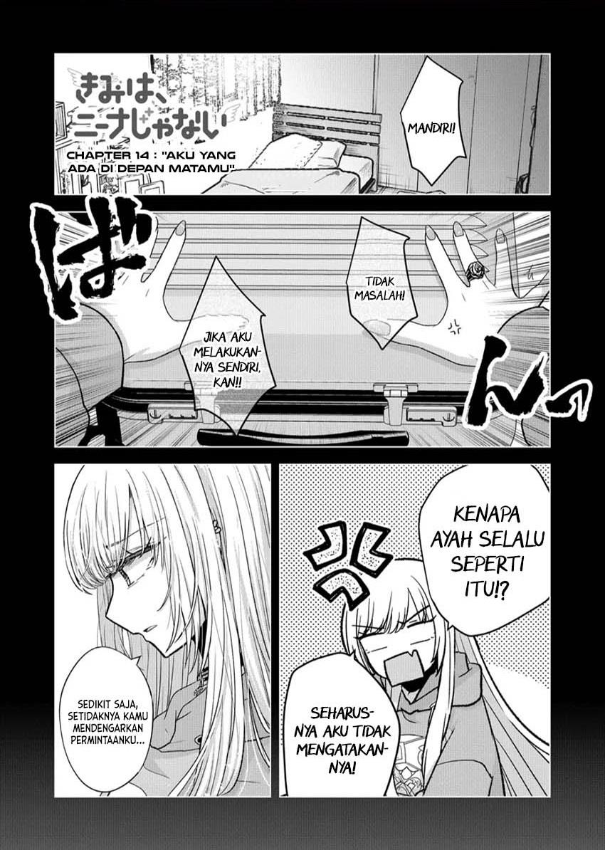 kimi-wa-nina-janai - Chapter: 14