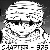 hunter-x-hunter - Chapter: 325