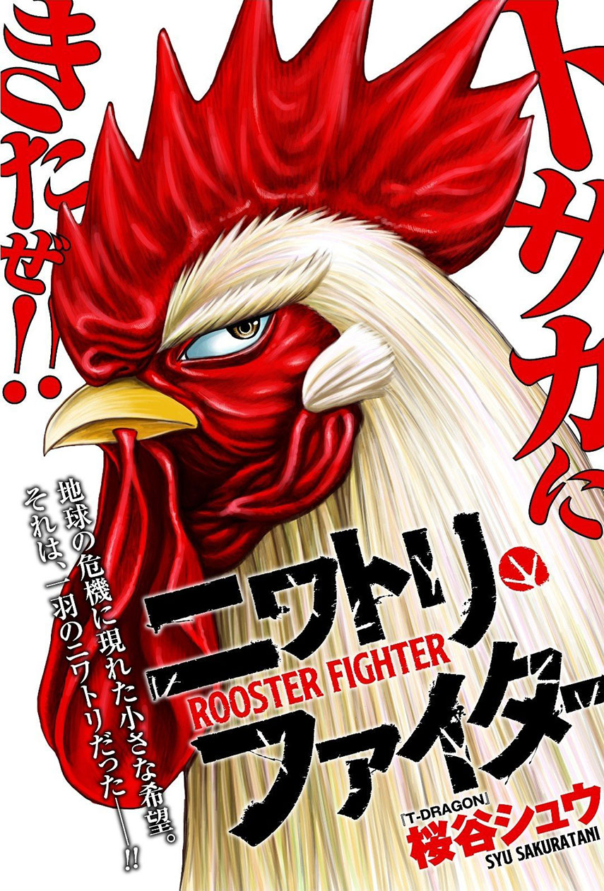 rooster-fighter - Chapter: 1